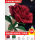 扭扭棒巨型花束闪亮红玫瑰花材