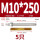 M10*250(304)(5个)