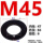 M45(1片)