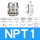 NPT1（18-25）