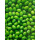 绿豆种子40克
