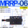 MRRP-06-