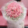 【清新】33朵粉玫瑰花束