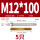 M12*100(304)(5个)