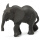 小非洲象