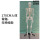 170CM人体骨骼模型-无神经款
