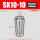 SK1010(精度0.005)