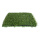 3厘米绿色拼接草坪