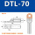 DTL-70(国标)10只