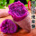 紫薯 5斤 中果单果100-200g