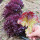 全紫叶生菜种子10克x2袋