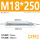 M18*250(2只)