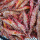 红爪虎虾(虾净重一斤)