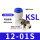 KSL12-01S