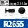 R2655 黑色(一千只) 孔径：2.7mm