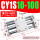 CY1S10-100