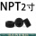 NPT2寸 (1个价格)