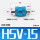 HSV-15(4分)
