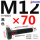 M12*70mm