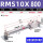 RMS10X800