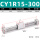 CY1R15-300