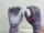 紫PU涂掌(12双)