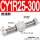 CY1R25-300