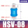 HSV-08亚款