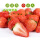 丹东99草莓营养杯苗4棵