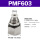 PMF6-03