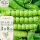 长寿仁豌豆种子100g（50gx2包）