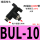 BUL-10大体（10件）