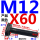 M12*60【10.9级T型】刻