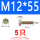 M12*55(5只)