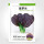 紫罗兰紫油菜5g×2包