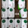 绿色TCL1箱（12瓶）只发广东