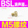 BSL-M5(平头) 国产消声器