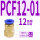 PCF12-01（20个）