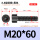 M20*60全(15支)