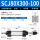 SCJ80*300-100-S带磁(mm)