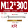 M12*300(304)(1个)