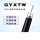 GYXTW-12芯5.6