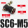 DM-SC-6-M5 红色