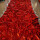 红色褶皱款1.2米宽每米价 按米