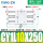 CDY1L10250