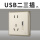 USB二三极插座1A
