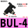 BUL-4（10件）