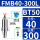 BT50-FMB40-300L