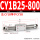 CY1B25-800