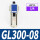 GL300-08